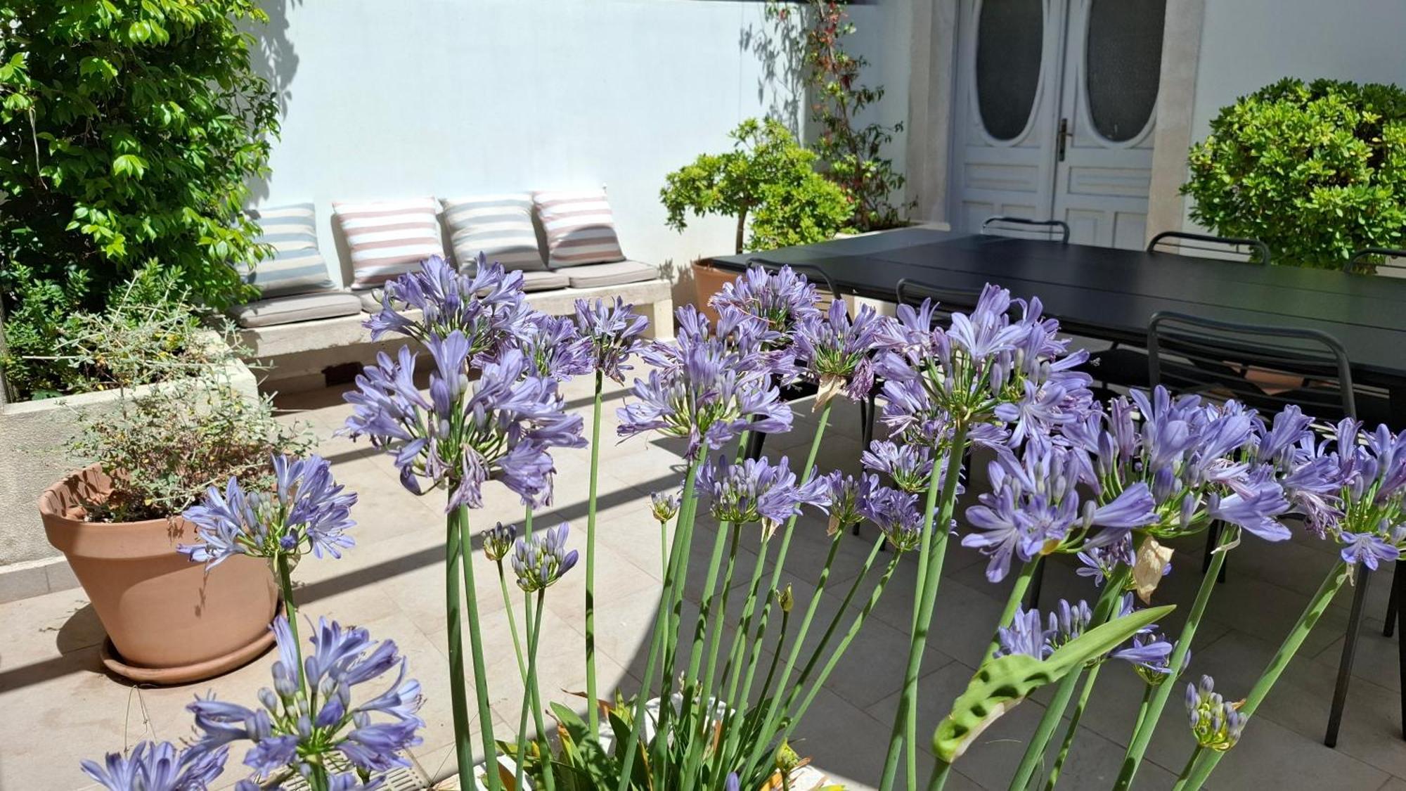 Villa Mira With A Heated Pool And A Sea View Božava Dış mekan fotoğraf